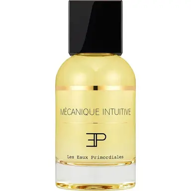 Mécanique Intuitive by Les Eaux Primordiales