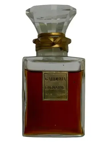 Gardénia by Bienaime