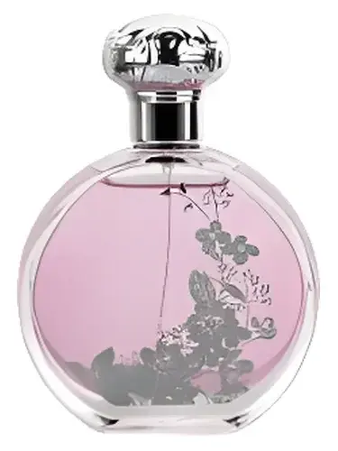 Dreamy Days by Marks & Spencer bottle