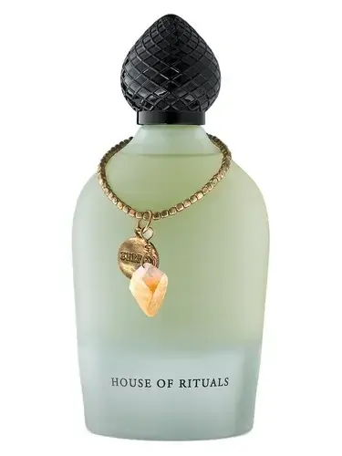 Wild Vetiver by Rituals bottle