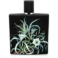 Amazon Lily by Nest bottle