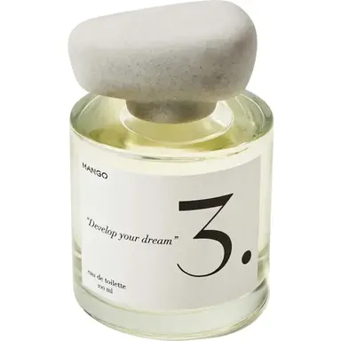 The Craft Line - 3. Develop Your Dream by Mango bottle