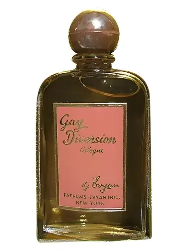 Gay Diversion by Evyan