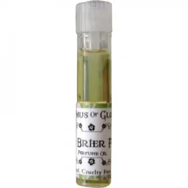 The Briar Path by Haus of Gloi bottle