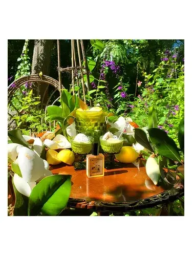 Solstice Magnolia by Solstice Scents bottle