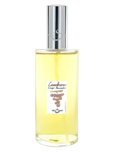 Lambrosc by Hilde Soliani bottle