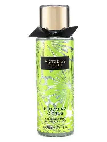 Blooming Citrus by Victoria's Secret bottle