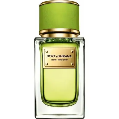 Velvet Mughetto by Dolce Gabbana