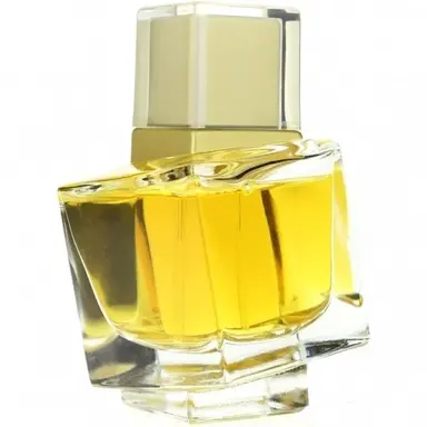 V'E Eau de Parfum by Versace bottle