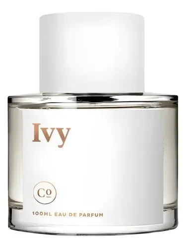 Ivy by Commodity