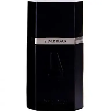 Azzaro pour Homme Silver Black by Azzaro