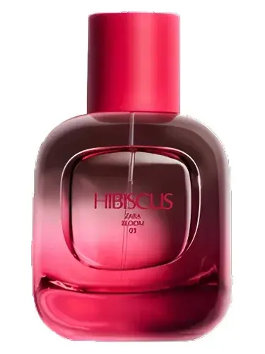 Hibiscus by Zara bottle