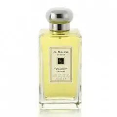 Honeysuckle & Jasmine by Jo Malone bottle