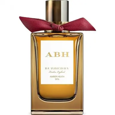 Amber Heath by Burberry bottle