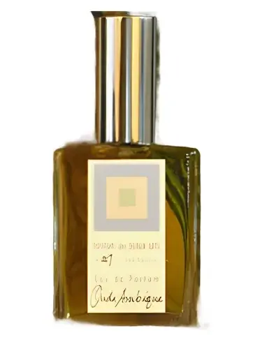 Oude Arabique by Dsh Perfumes bottle