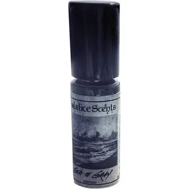 Sea Of Gray by Solstice Scents bottle