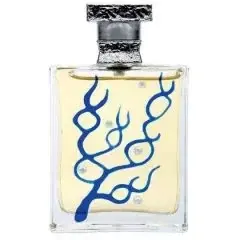 White Sea by M. Micallef bottle