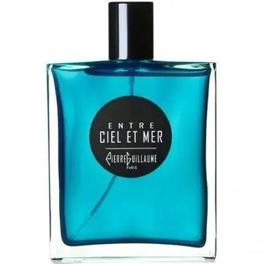 Entre Ciel et Mer by Pierre Guillaume