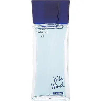 Wild Wind for Men After Shave by Gabriela Sabatini