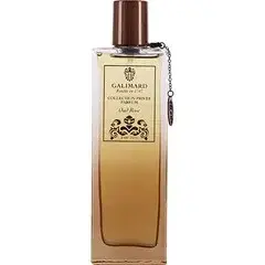 Oud Rose by Galimard