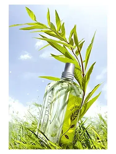 Verbena Sun by L'Occitane en Provence bottle