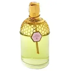 Aqua Allegoria Rosa Magnifica by Guerlain bottle