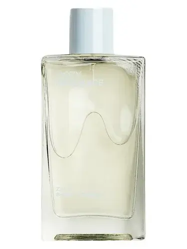 Cozy Serenade by Zara bottle