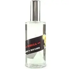 Teatro Olfattivo Di Parma: Stecca by Hilde Soliani bottle