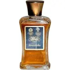 Bouvardia by Floris