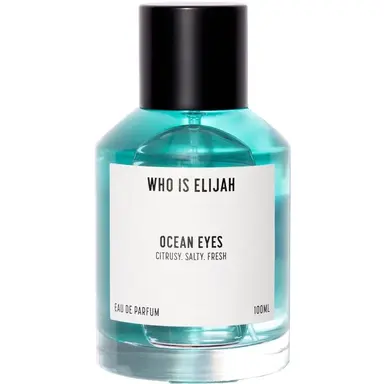 Ocean Eyes by Who is Elijah