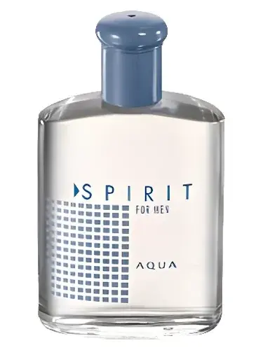 Spirit for Men Aqua by Avon bottle
