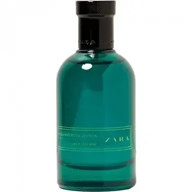 Midsummer Collection Deep Fougere by Zara bottle