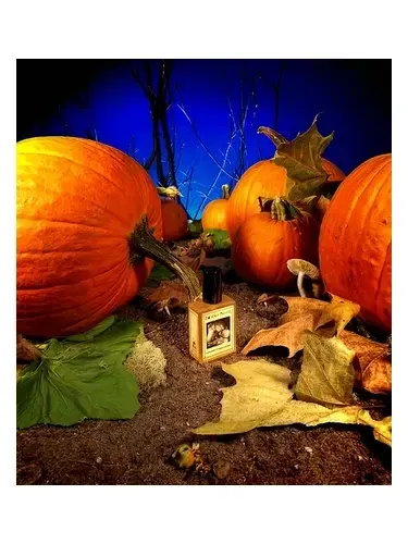 Gunnerson's Pumpkin Patch by Solstice Scents bottle