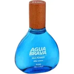 Agua Brava Sea Power After Shave by Antonio Puig bottle