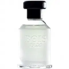 Ancora Amore by Bois 1920
