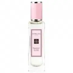 Redcurrant & Cream by Jo Malone bottle