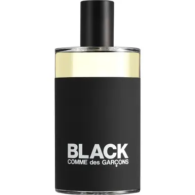 Black Eau de Toilette by Comme des Garcons