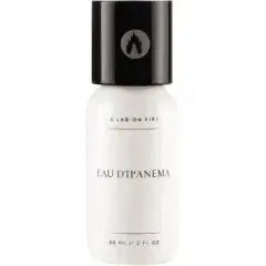 Eau d'Ipanema by A Lab on Fire / What we do is secret