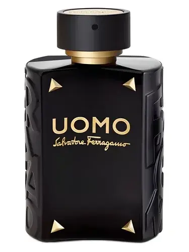 Uomo Salvatore Ferragamo Limited Edition by Salvatore Ferragamo bottle