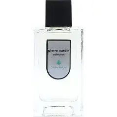 Pierre Cardin Collection - Cèdre Ambré After Shave by Pierre Cardin bottle