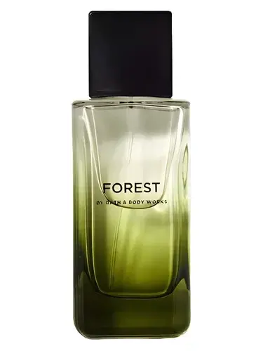 Forest by Bath & Body Works bottle