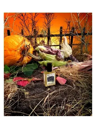 Foxcroft Intense by Solstice Scents bottle