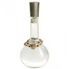 Ryder by Hollister bottle