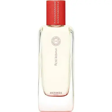 Rose Ikebana by Hermes