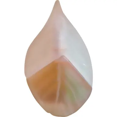 Parfum d'Été Eau de Toilette by Kenzo bottle
