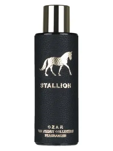 Stallion by Czar