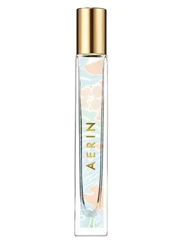 Coral Palm by Aerin