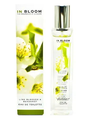 Lime Blossom and Bergamot by Marks & Spencer