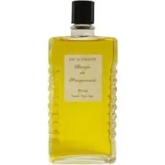 Banjo by Fragonard bottle
