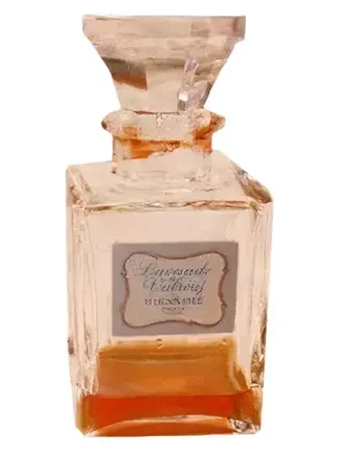 Lavande de Valréas by Bienaime